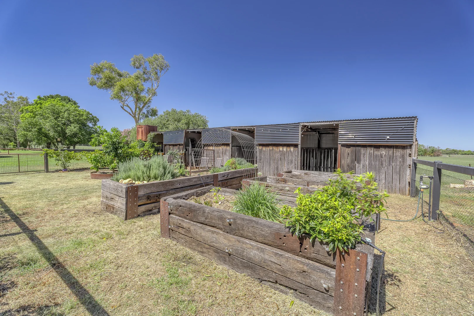 Additional image 24 of 12L Dulcidene Road, Terramungamine NSW 2830