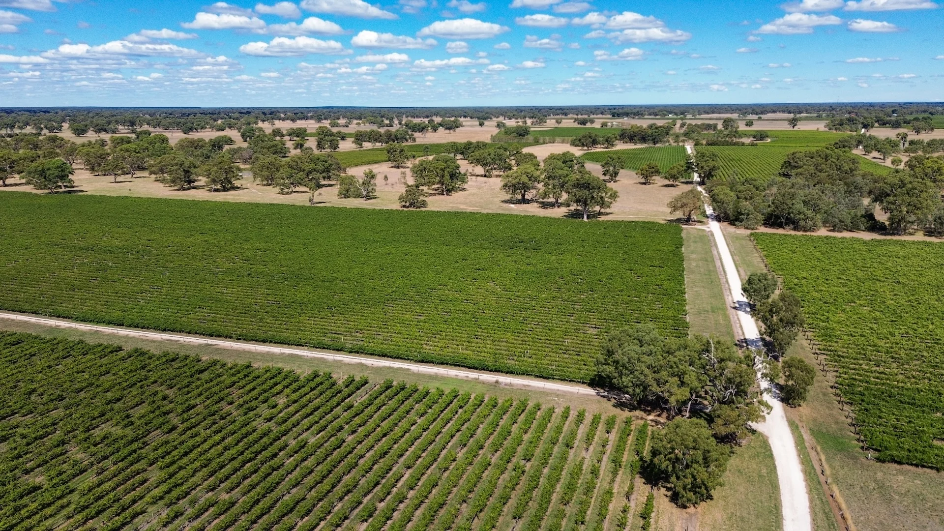 Additional image 17 of V&A Lane, Coonawarra SA 5263