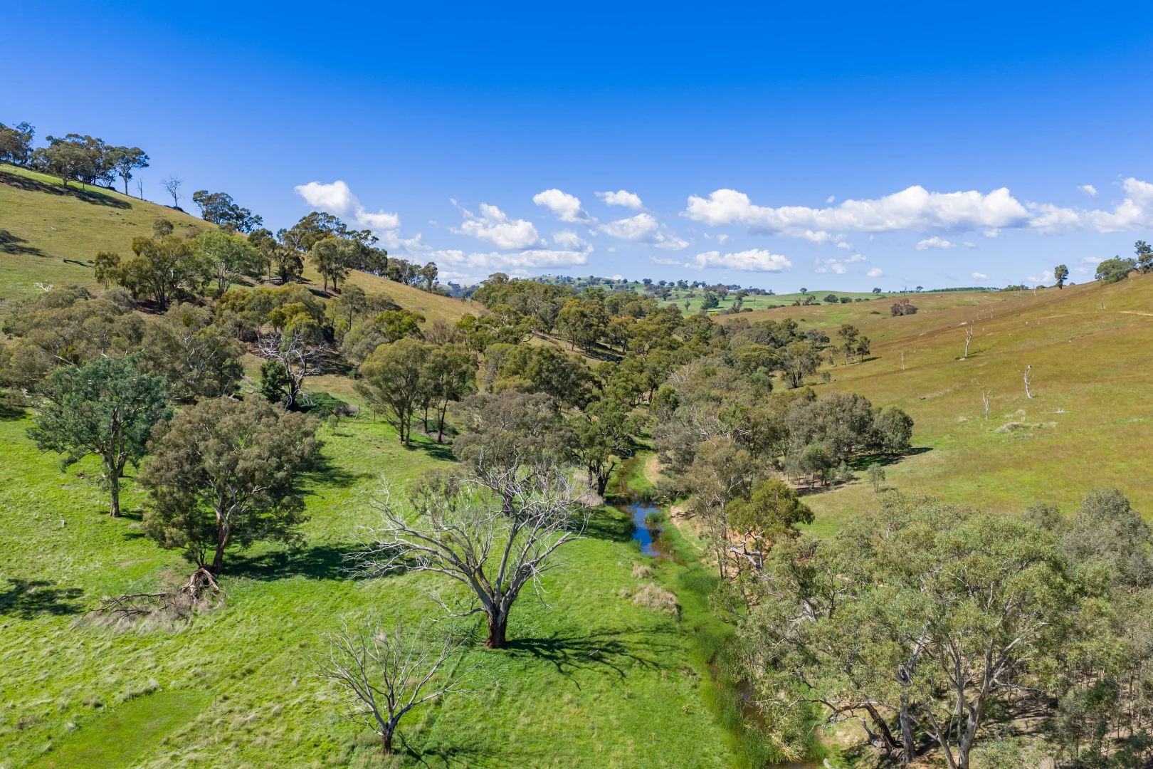 Additional image 18 of 7479 Mid Western Highway, Lyndhurst NSW 2797