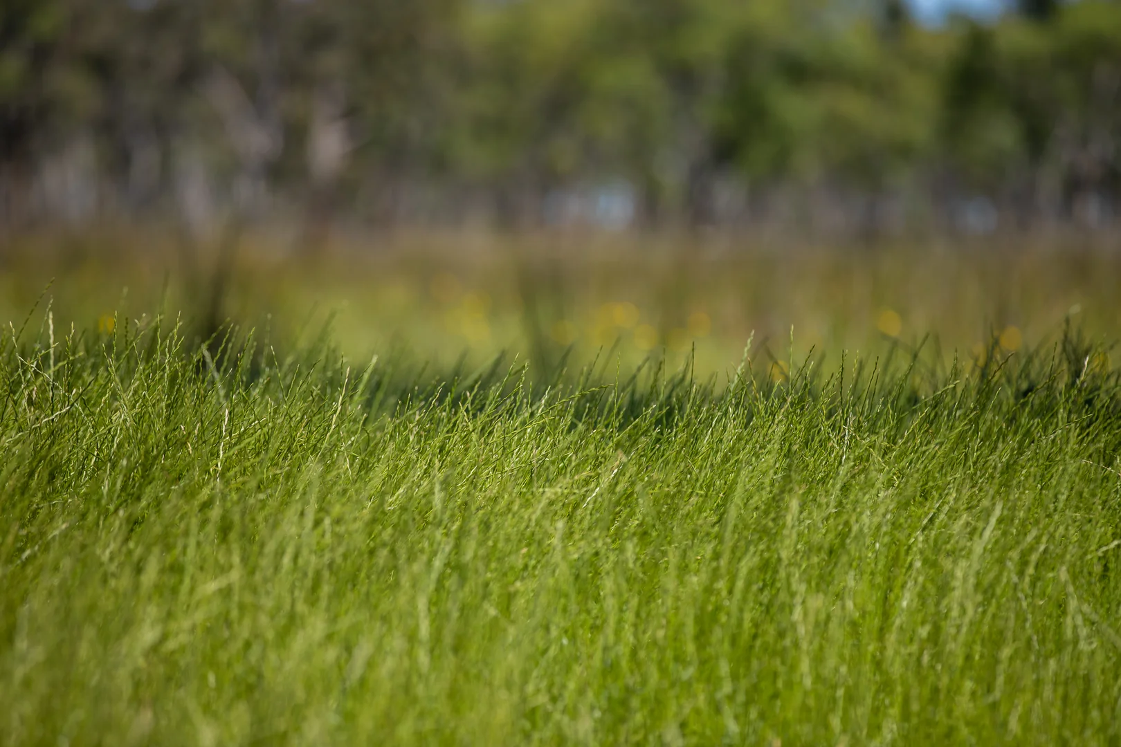 Additional image 28 of Inverell NSW 2360