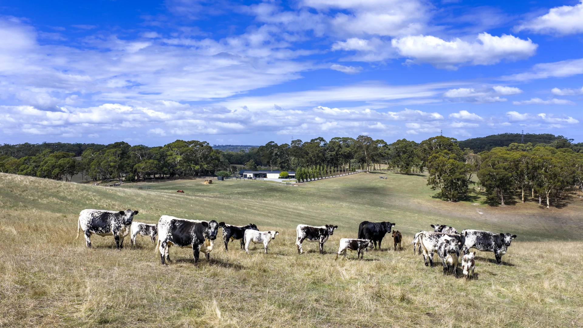 Additional image 70 of 444 Hawthorn Road, Echunga SA 5153