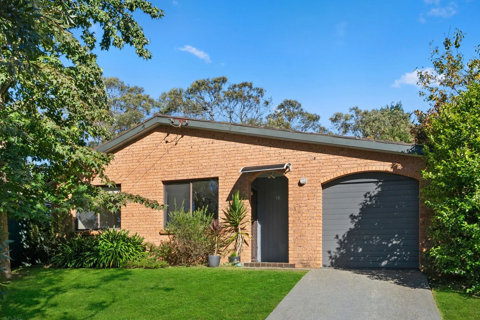 12 David Street, Wentworth Falls NSW 2782