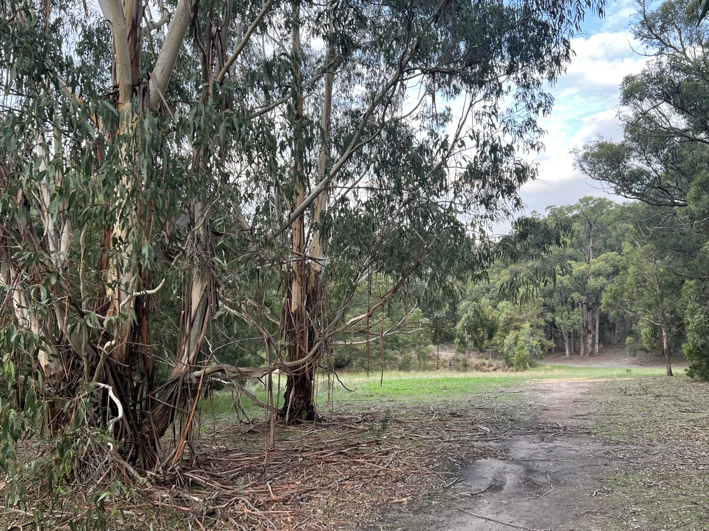 Additional image 2 of Lot 2 Forbes Road, Macedon VIC 3440