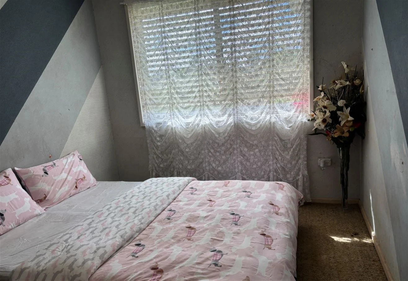 Additional image 4 of 22 Malcolm Avenue, Mount Pritchard NSW 2170