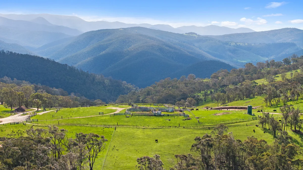2/914 Target Creek Road, Licola VIC 3858
