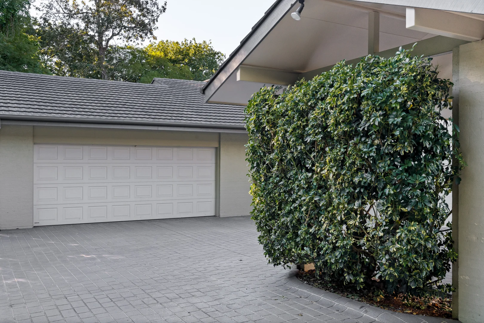 Additional image 26 of 7 Curzon Street, Mount Lofty QLD 4350