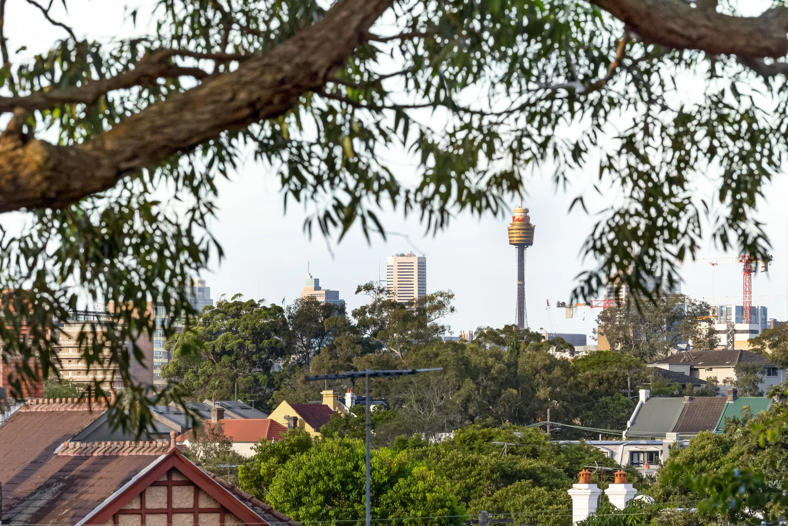 Additional image 6 of 16/2-6 Liberty Street, Enmore NSW 2042