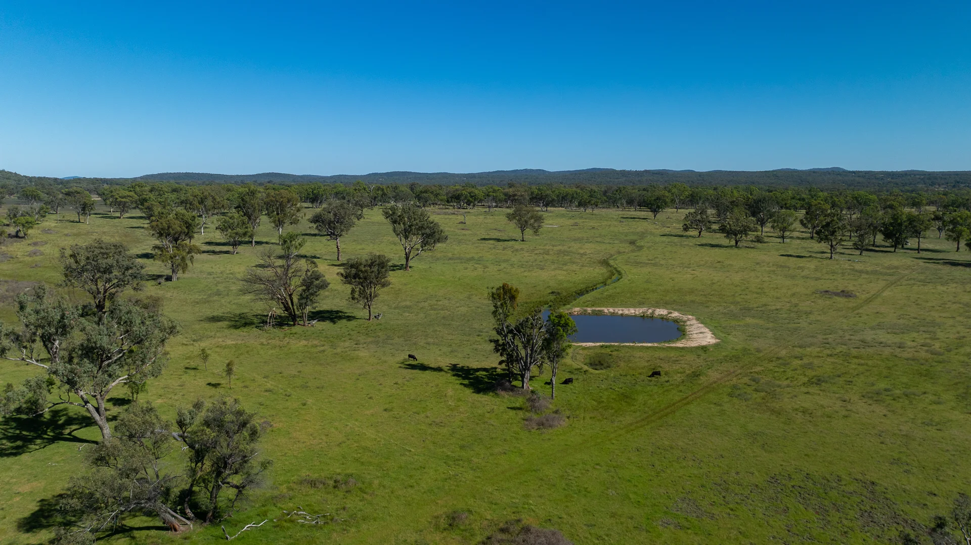 Additional image 5 of Inverell NSW 2360