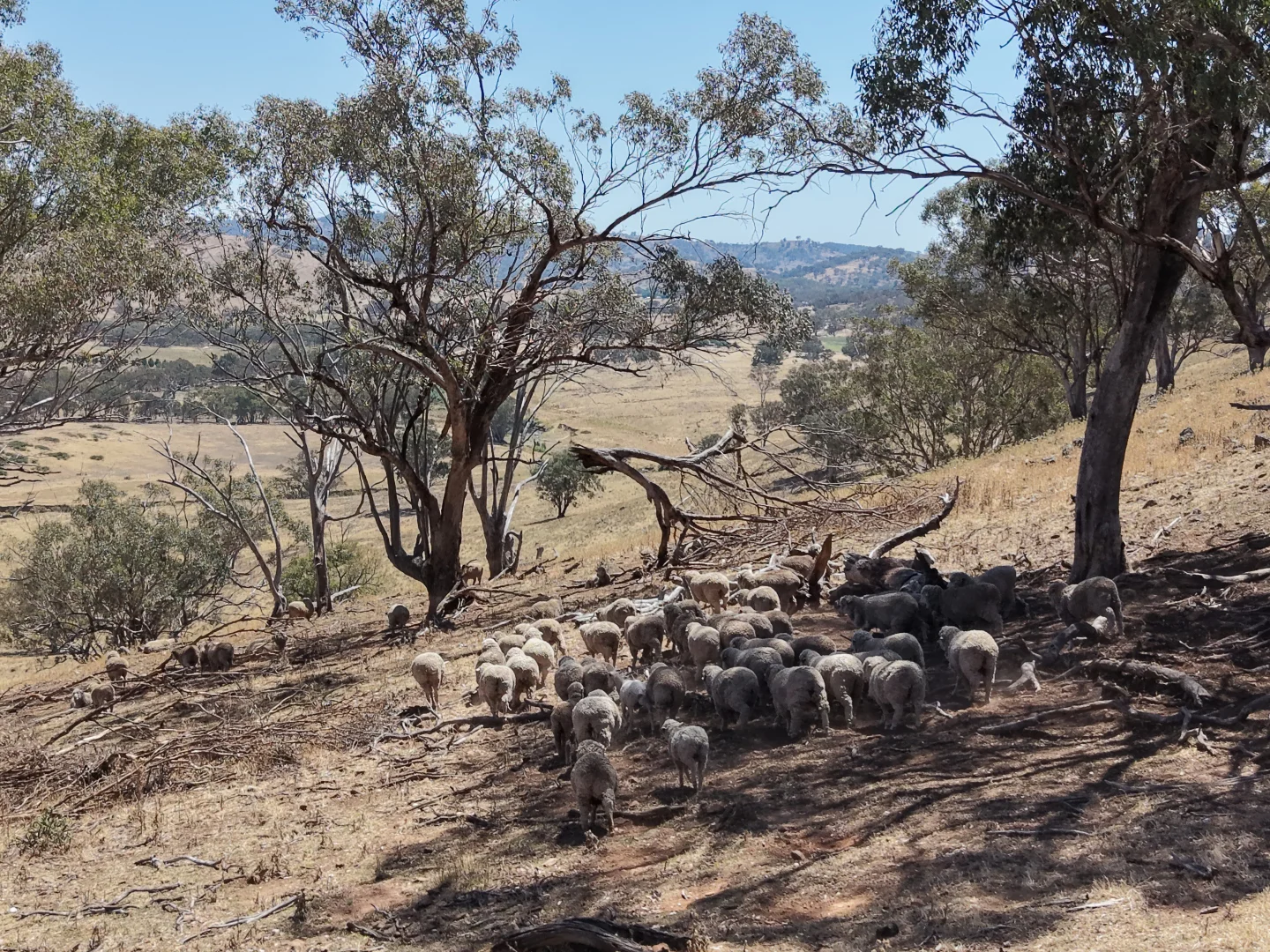 Additional image 10 of Part 2336 Crudine Road, Crudine NSW 2795