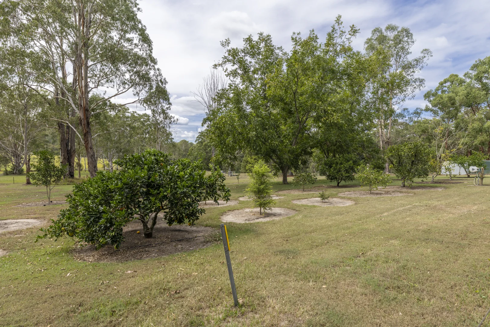Additional image 35 of 2324 Armidale Road, Blaxlands Creek NSW 2460