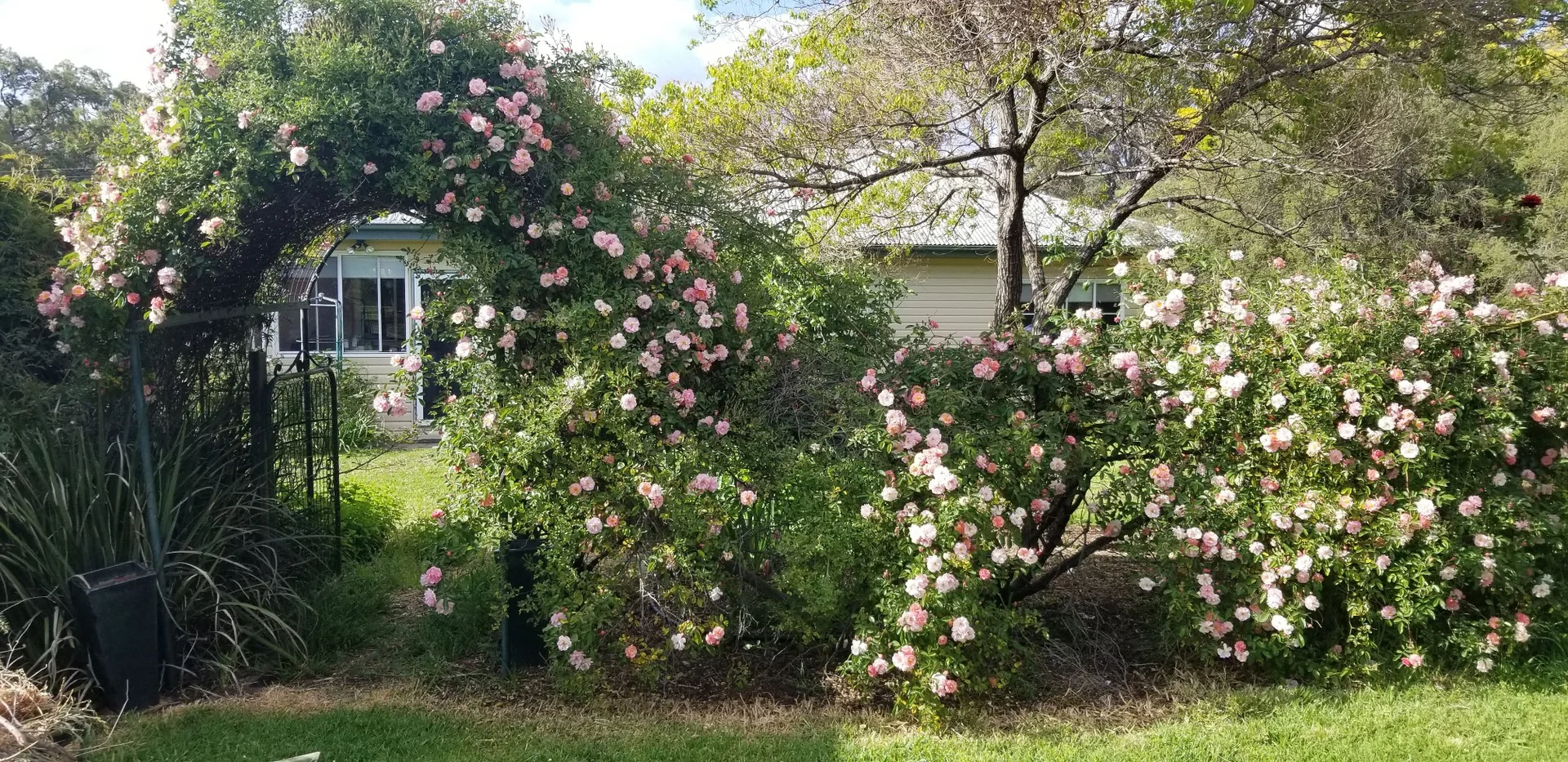 6918 Warrumbungles Way, Coonabarabran NSW 2357