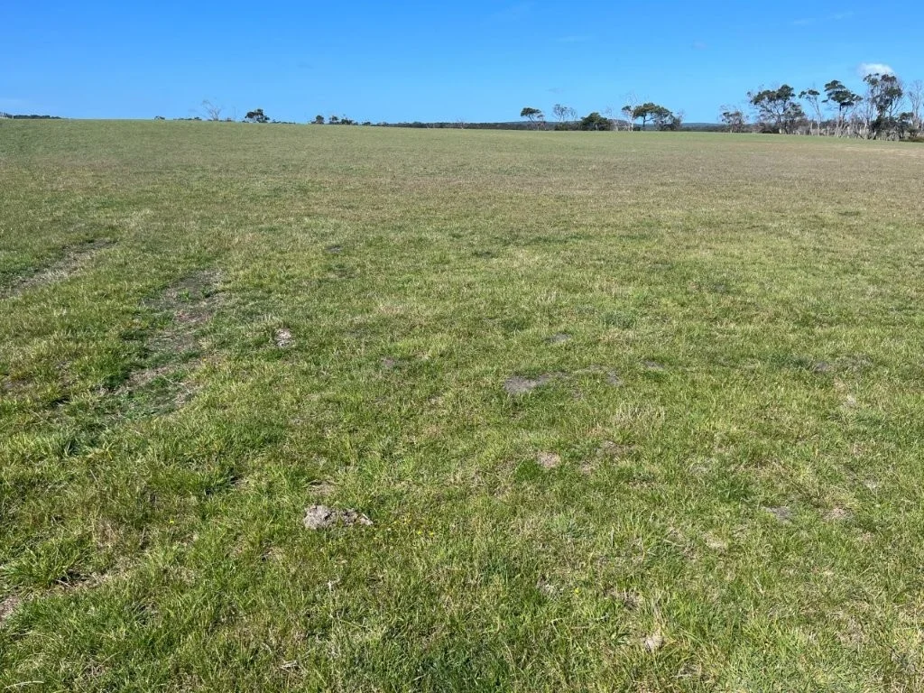 Additional image 16 of 559 North Ansons Road, Gladstone TAS 7264