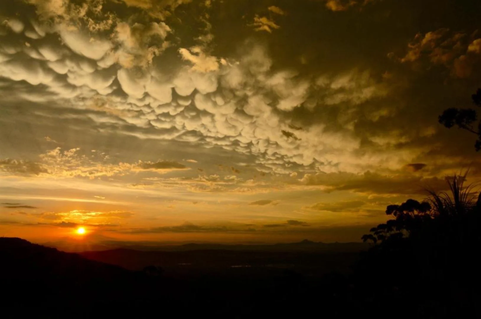 Additional image 38 of 210-220 Macdonnell Road, Tamborine Mountain QLD 4272