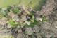 Additional image 27 of Magreed Lane, Broad Oak, TN21