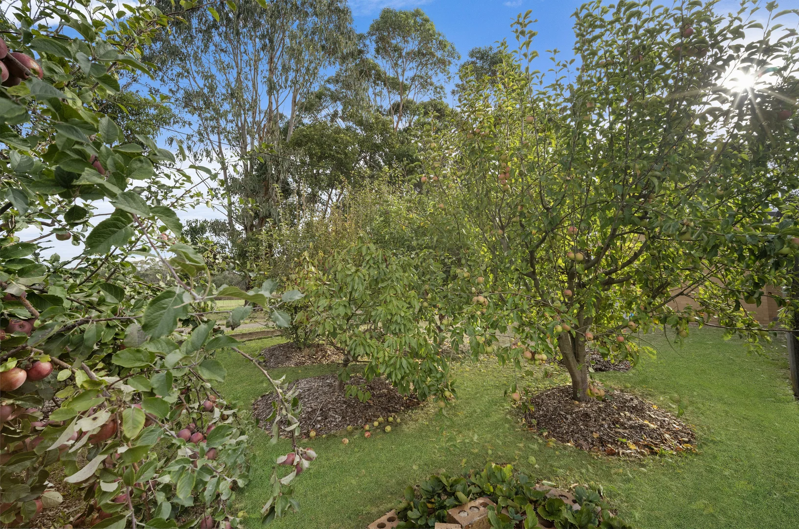 Additional image 20 of 621 Baileys Road, Nullawarre North VIC 3268