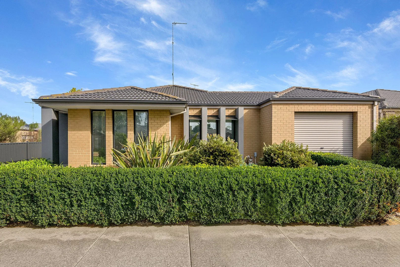 1/25 Benita Place, Leopold VIC 3224