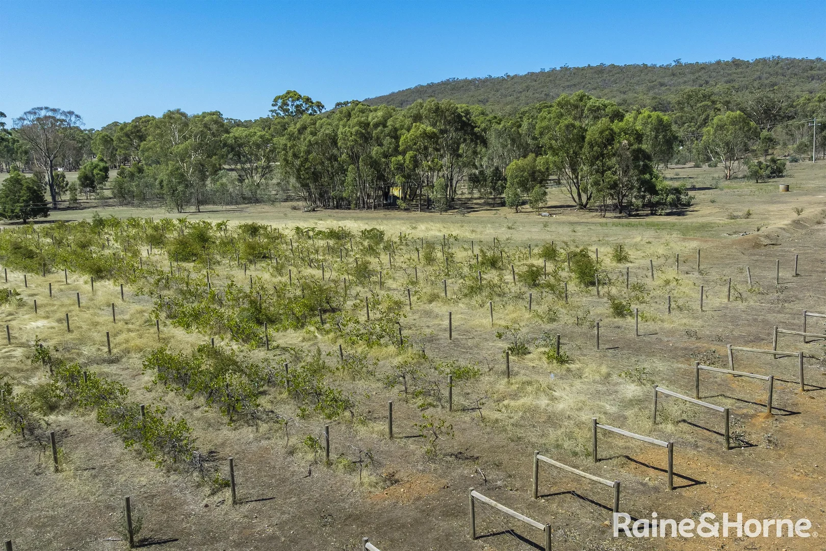 Additional image 13 of 1000 Northern Highway, Ladys Pass VIC 3523