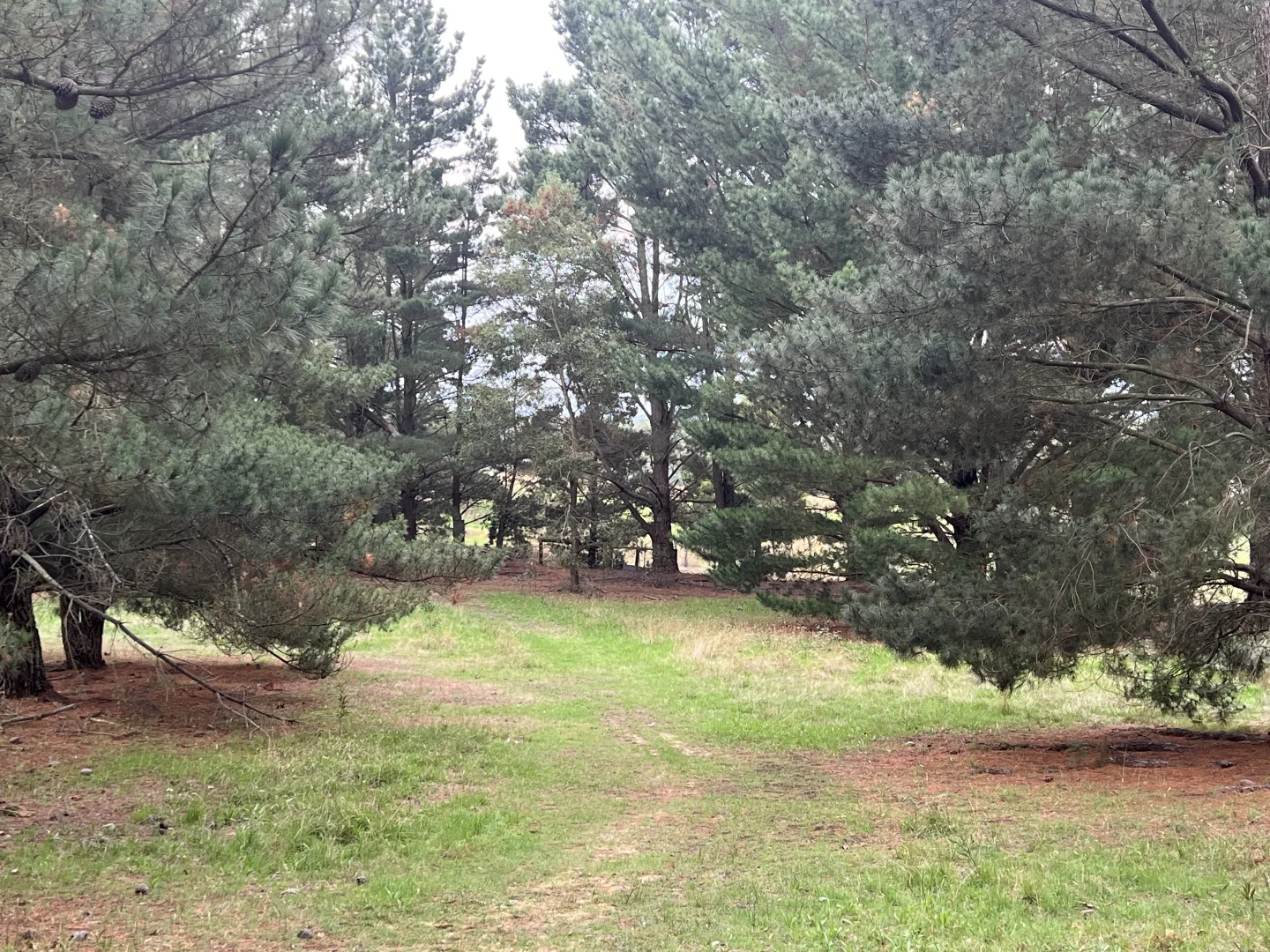 Additional image 10 of Lot 2 Forbes Road, Macedon VIC 3440