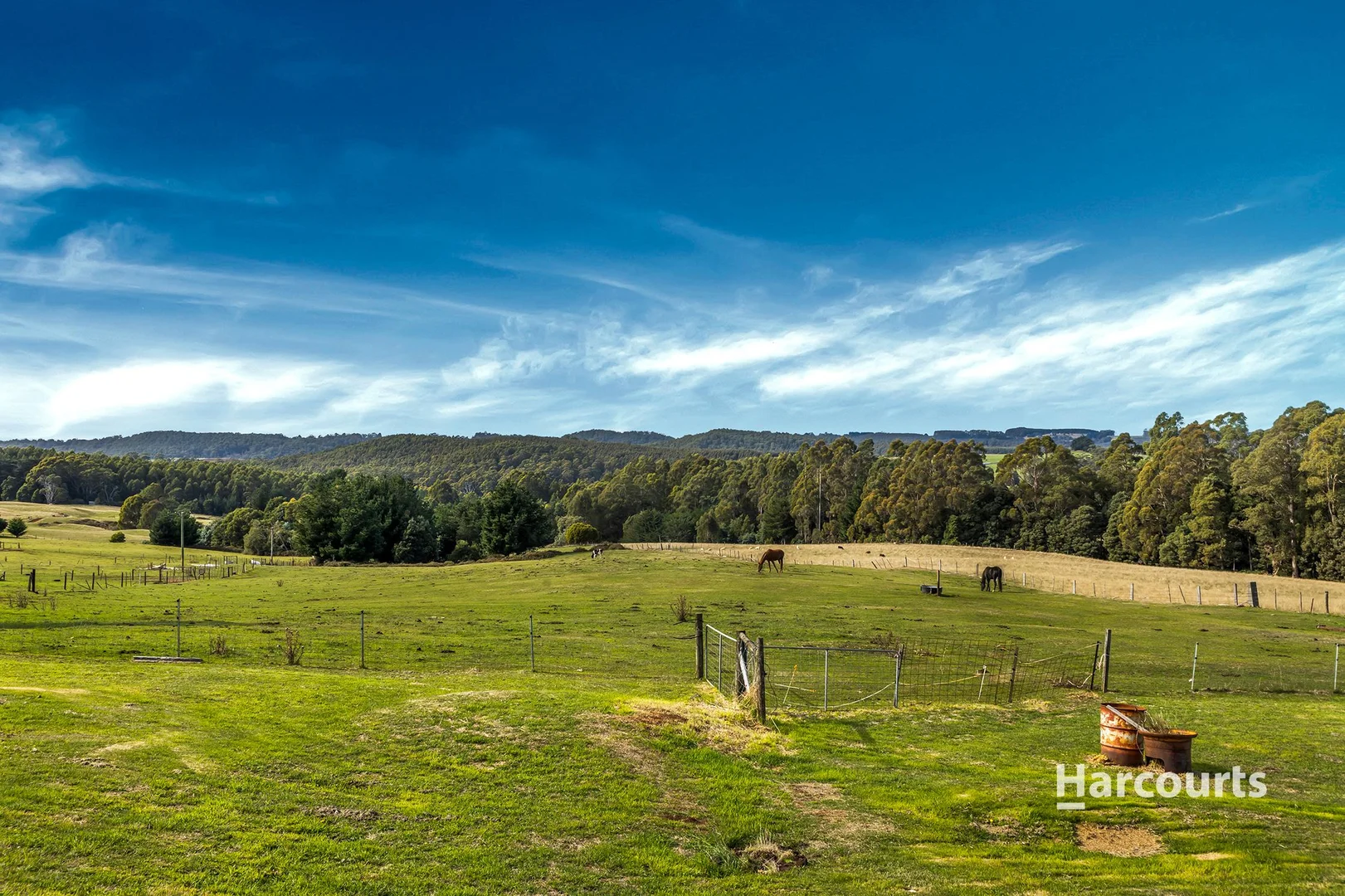 Additional image 28 of 963 Murchison Highway, Elliott TAS 7325