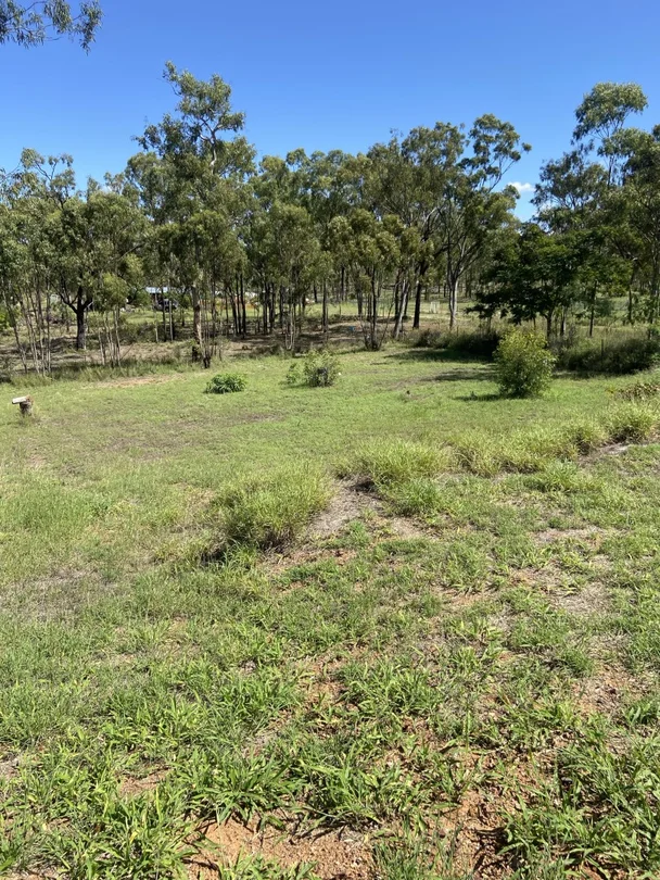 Lot L62/11 Melaleuca Court, Greenvale QLD 4816