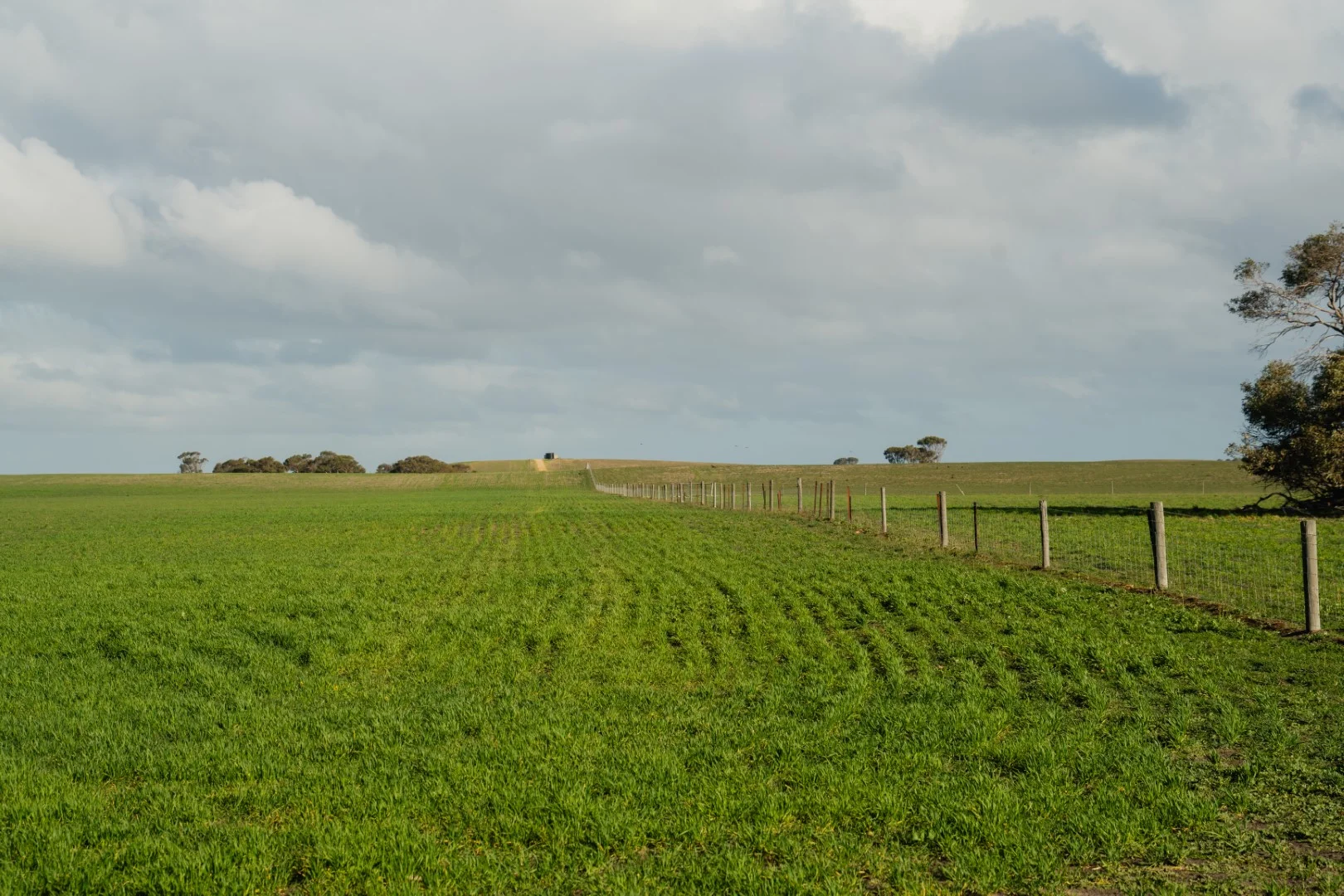 Additional image 7 of 565 Gordon Road, Meningie East SA 5264