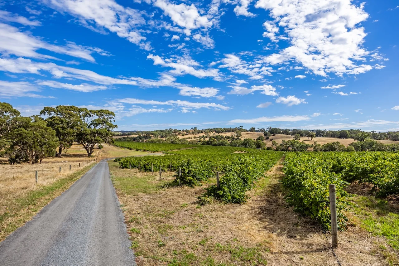 Additional image 5 of 49 Chapel Hill Road, Kangarilla SA 5157