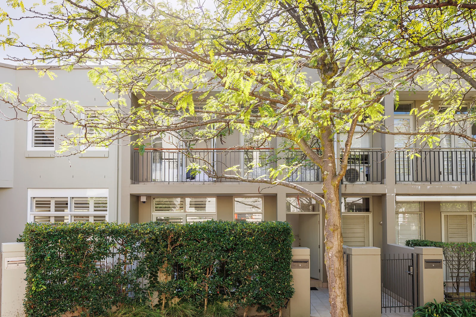 72 Gipps Street, Paddington NSW 2021
