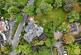 Additional image 15 of Flat 3, Lawnside, Albert Road South, Malvern