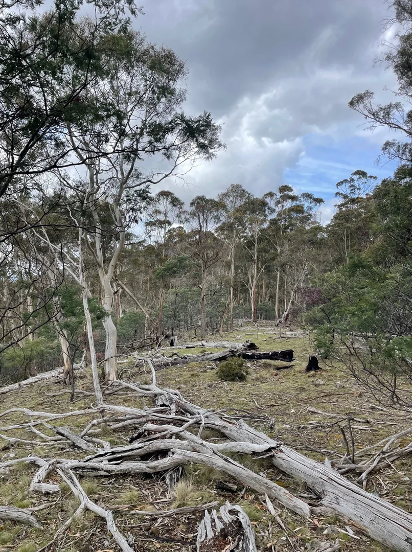 Additional image 16 of 420 Springhill Bottom Road, Colebrook TAS 7027