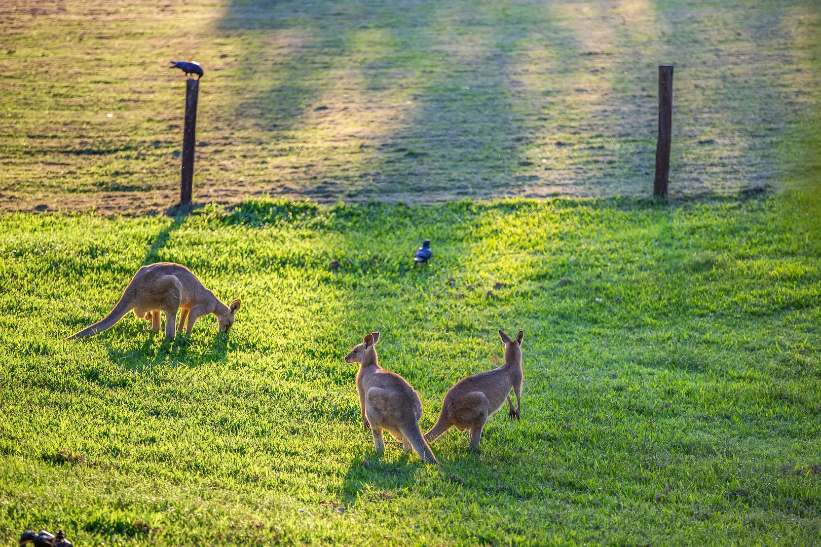106 Jensen Road, Ninderry QLD 4561 photo 3