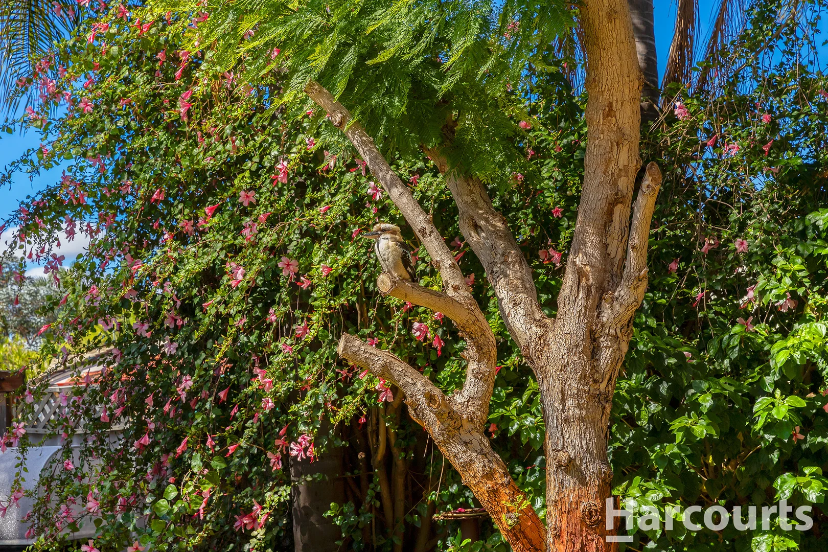 Additional image 21 of 33 Marungi Way, Greenfields WA 6210