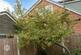 Additional image 32 of Newearth Road, Worsley, Manchester, Greater Manchester, M28 7US