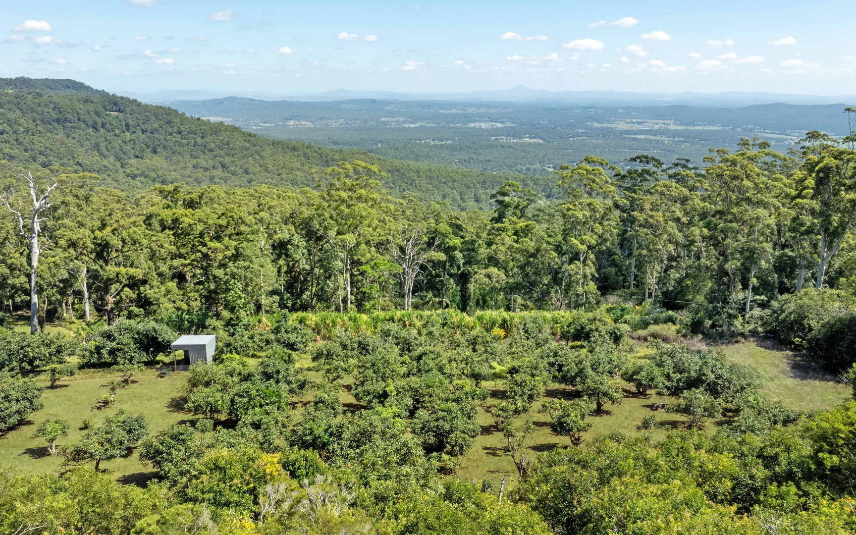 Additional image 30 of 210-220 Macdonnell Road, Tamborine Mountain QLD 4272