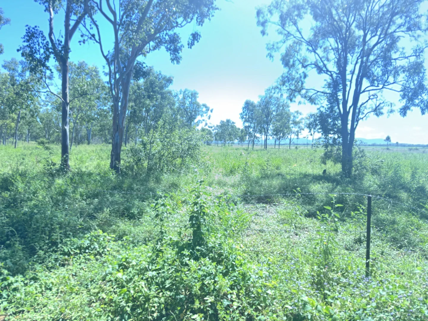Additional image 15 of 618 Weaver Road, Swans Lagoon QLD 4807