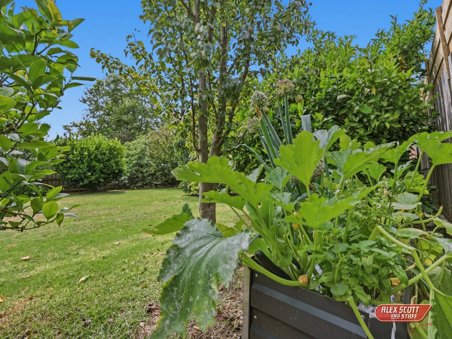 Additional image 29 of 16 Miller Street, Dumbalk VIC 3956