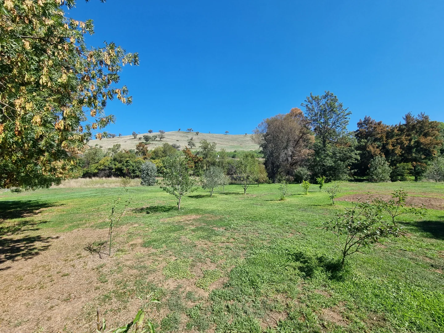 Additional image 14 of 166 Punch Street, Gundagai NSW 2722