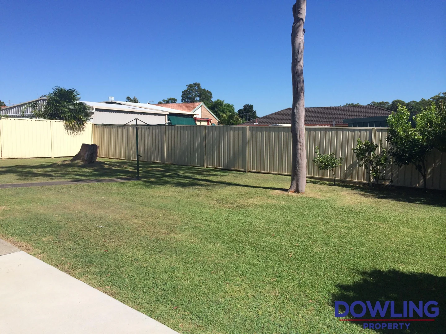 Additional image 9 of 22 Mountain Ash Close, Medowie NSW 2318