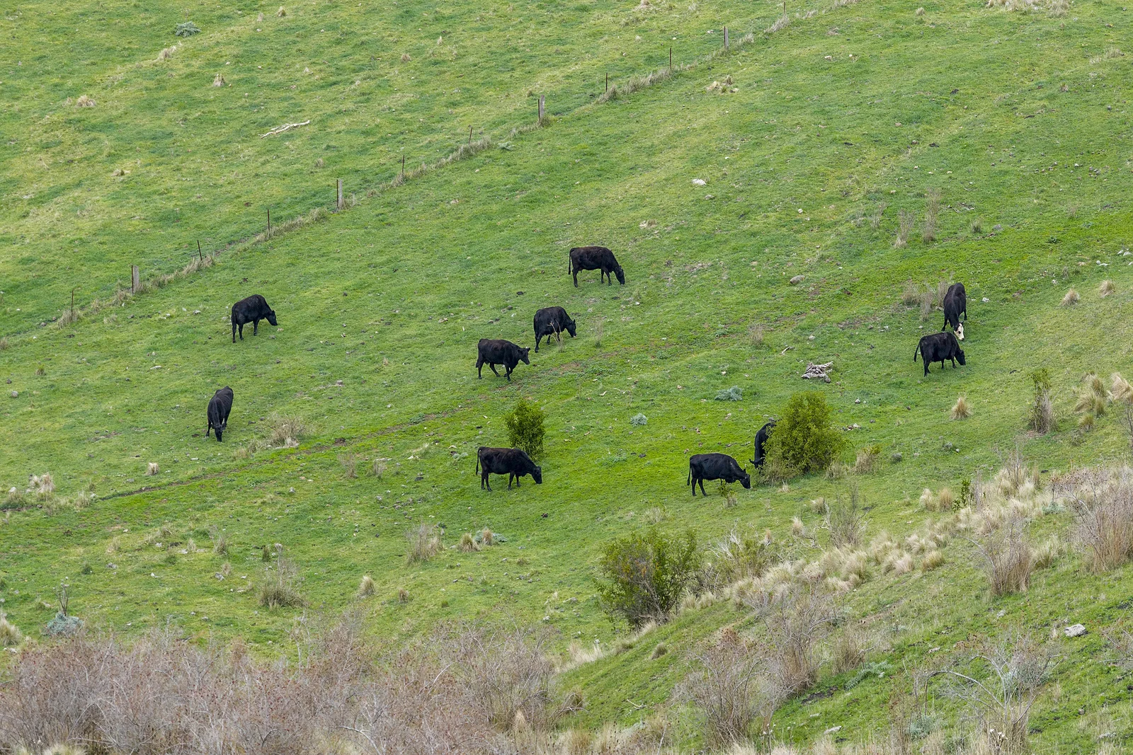 Additional image 9 of 190 Konagaderra Road, Oaklands Junction VIC 3063
