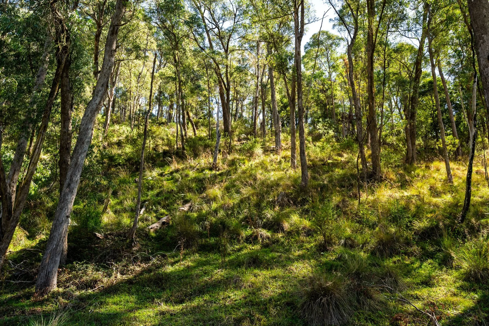 Additional image 7 of 828 Morses Creek Road, Wandiligong VIC 3744