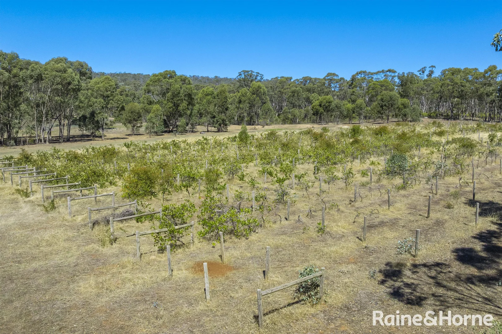 Additional image 4 of 1000 Northern Highway, Ladys Pass VIC 3523