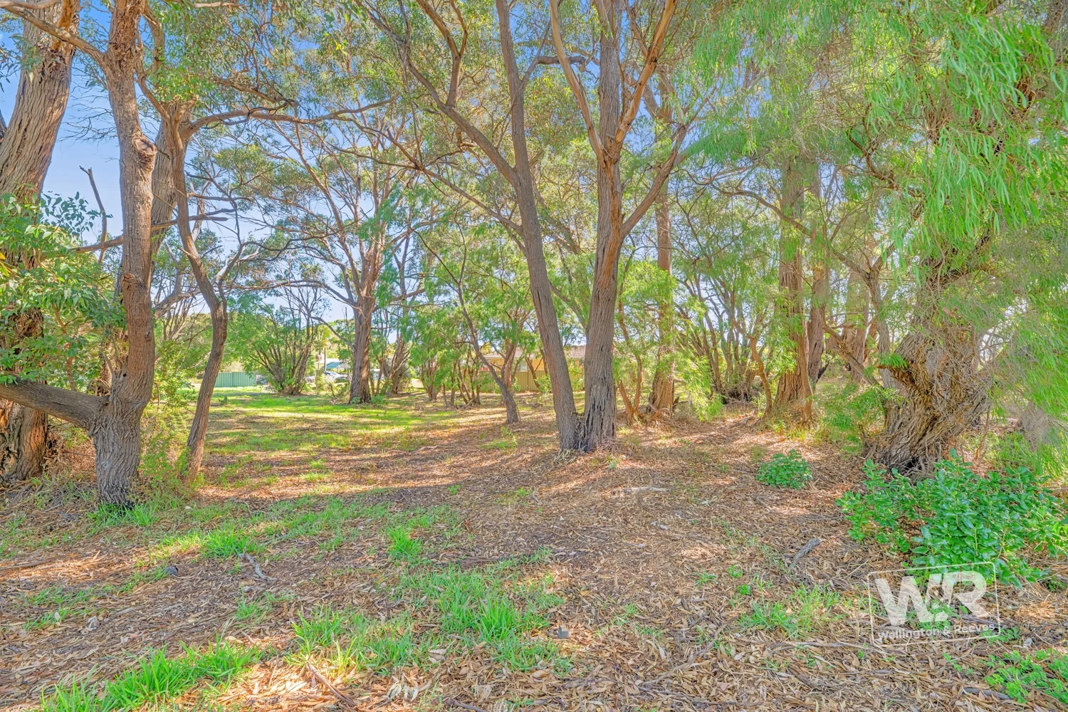 Additional image 7 of 202 Bay View Drive, Little Grove WA 6330