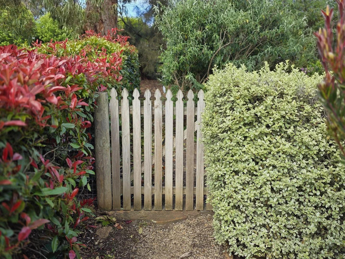 Additional image 38 of 20 Fairfield Road, Mount Barker SA 5251