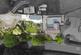 Wootton, Stafford ST21 photo 3