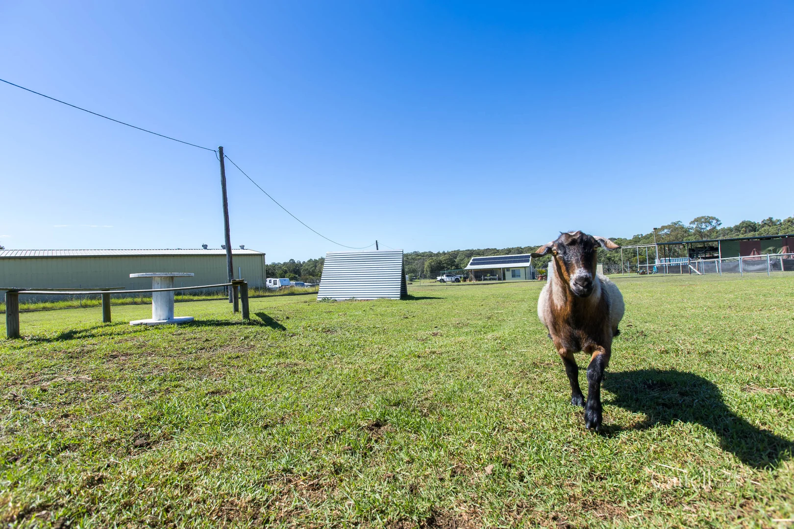 Additional image 49 of 3 York Street, Abermain NSW 2326