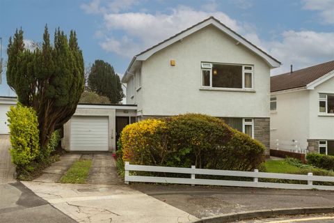 Rhyd Yr Helyg, Sketty, Swansea SA2