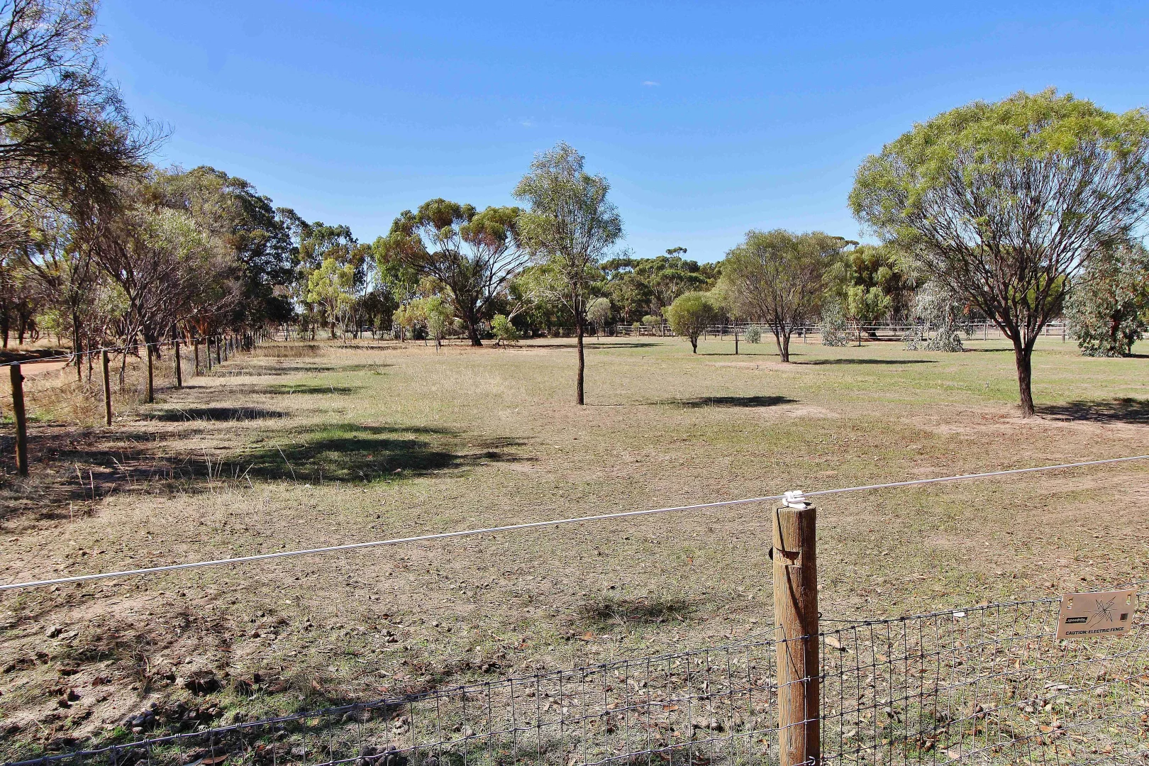 Additional image 10 of 18 COSTELLOE STREET, Wagin WA 6315