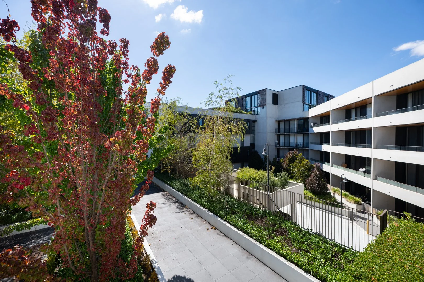 Additional image 29 of 19/1 Kerridge Street, Kingston ACT 2604