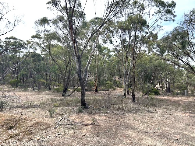 Additional image 5 of 0 Wycheproof Road, St Arnaud VIC 3478