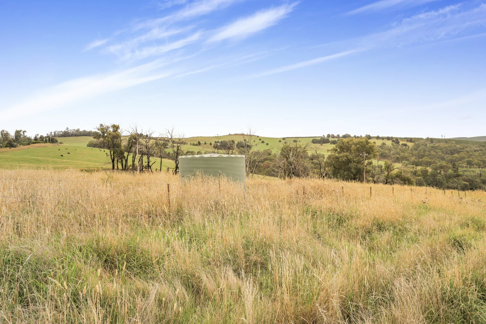 Additional image 6 of 755 Old Tumbarumba road, Batlow NSW 2730