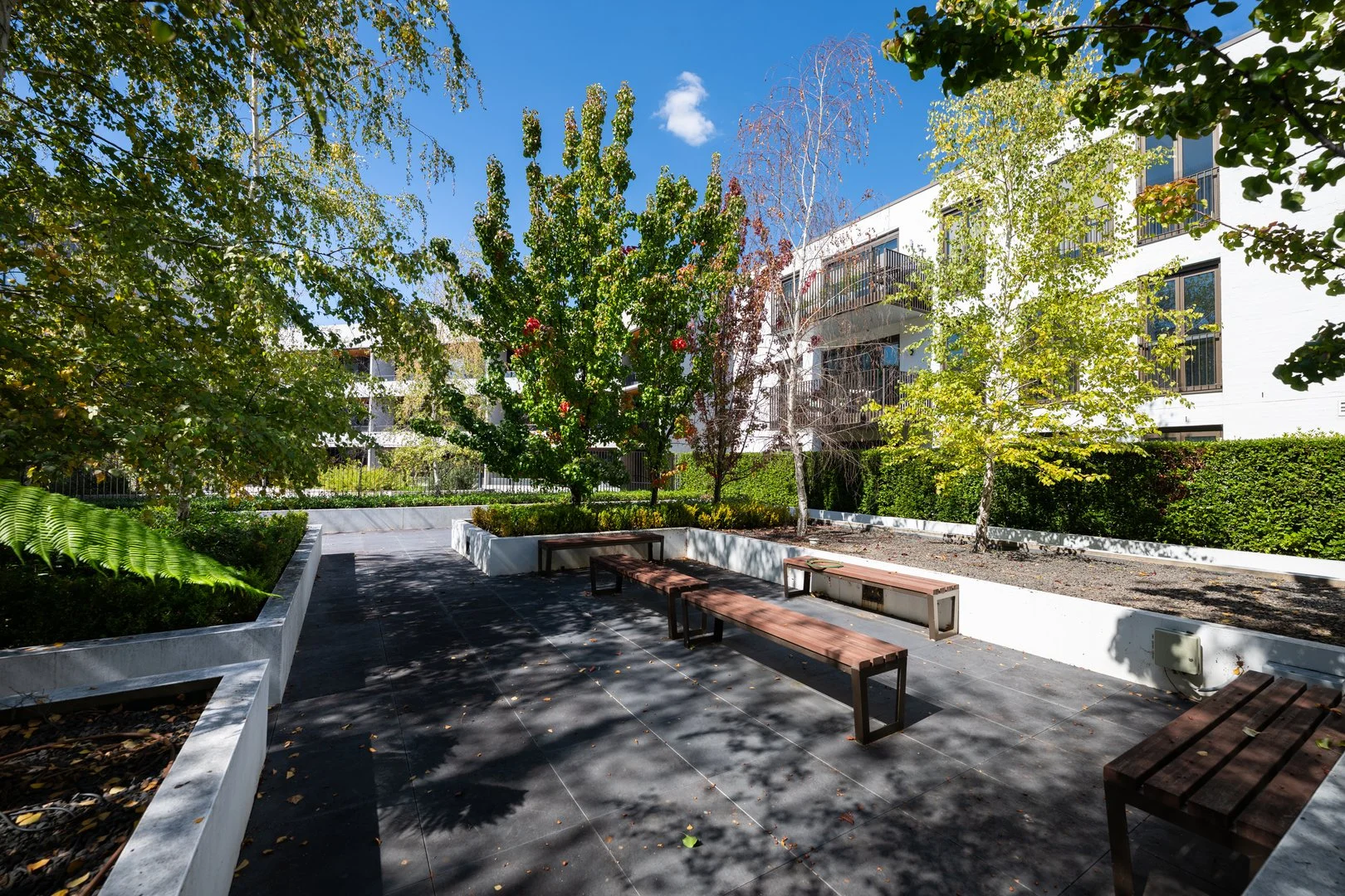 Additional image 24 of 19/1 Kerridge Street, Kingston ACT 2604